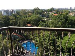 Nassim Mansion (D10), Apartment #458938821